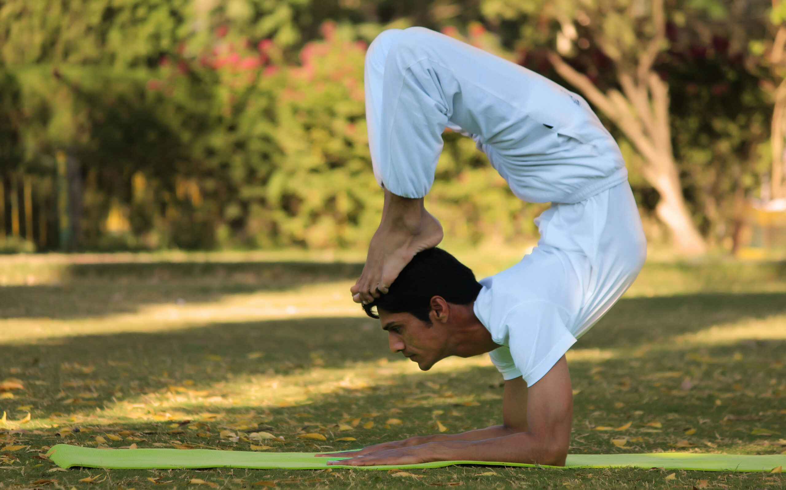 indian-yogi-yogi-madhav-P_SxnJhID1s-unsplash indian-yogi-yogi-madhav-P_SxnJhID1s-unsplash